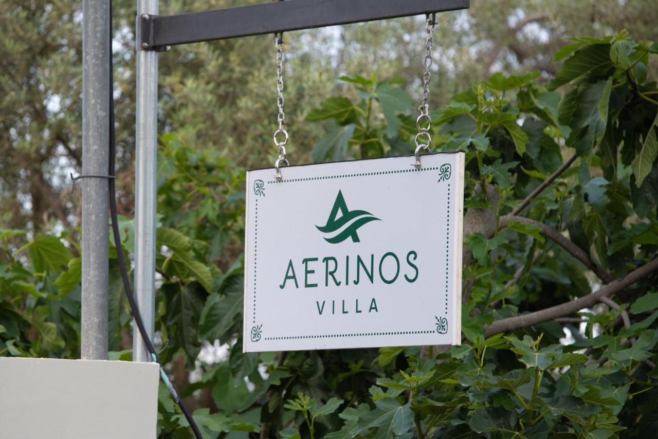 Aerinos Private Villa Lefkada City Luaran gambar