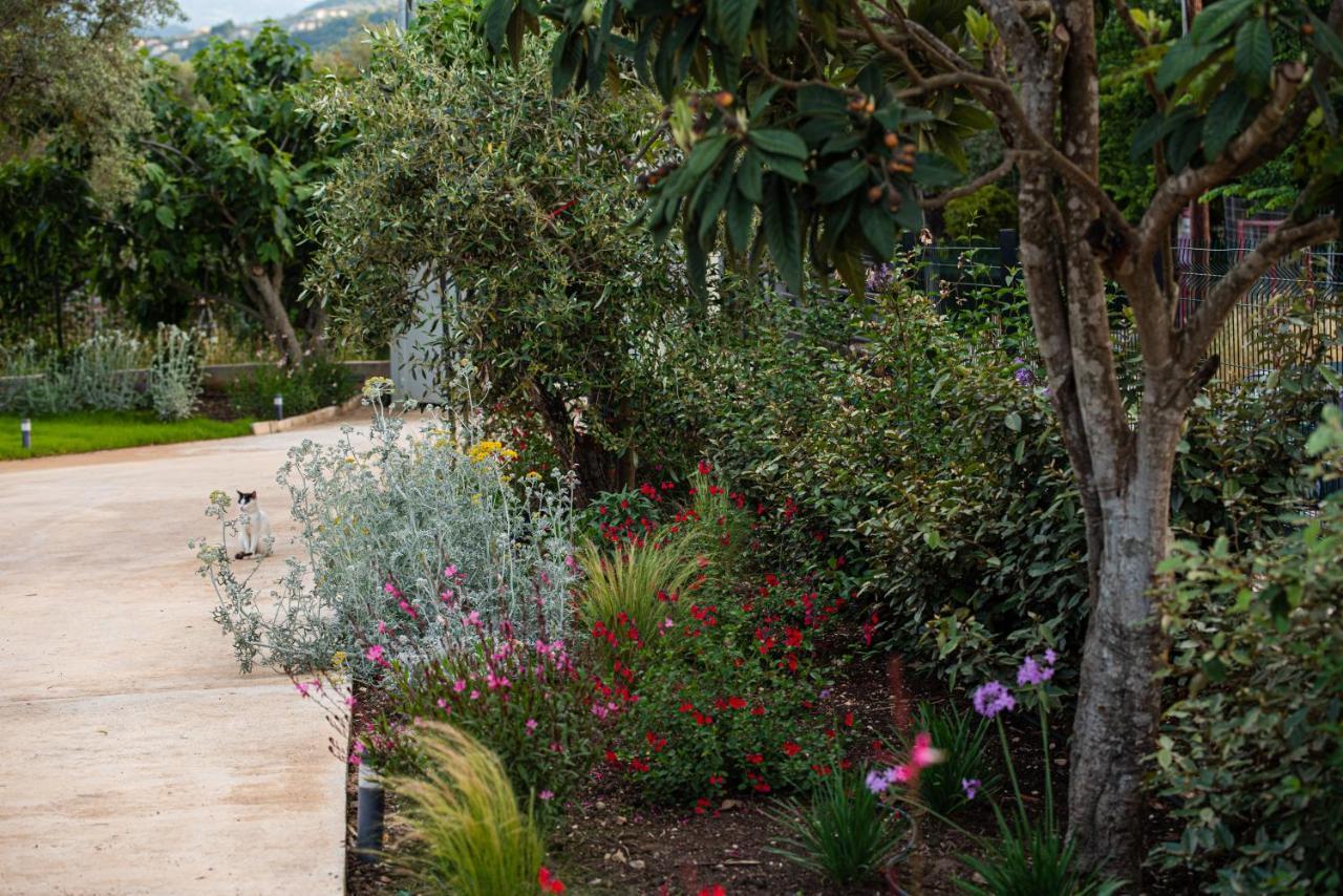 Aerinos Private Villa Lefkada City Luaran gambar