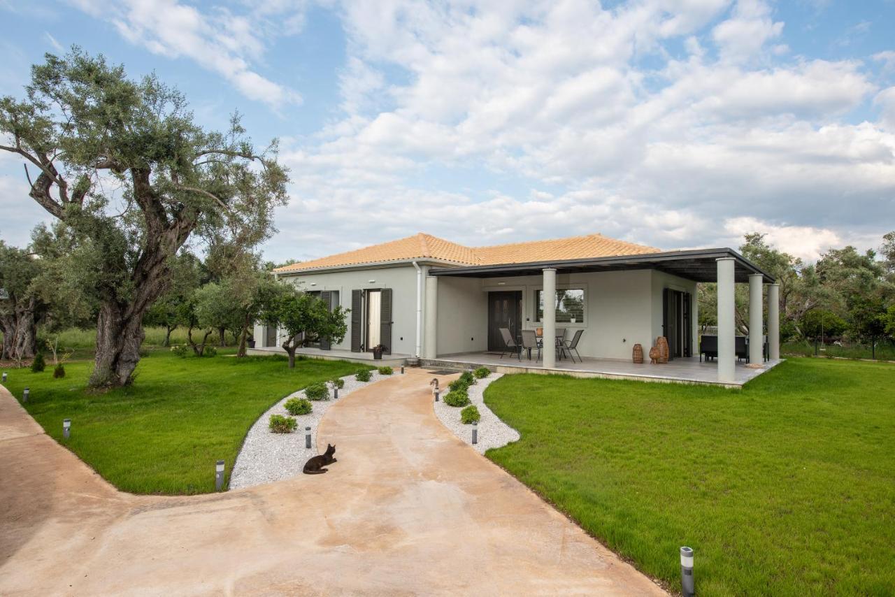 Aerinos Private Villa Lefkada City Luaran gambar