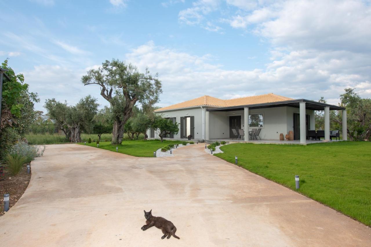 Aerinos Private Villa Lefkada City Luaran gambar